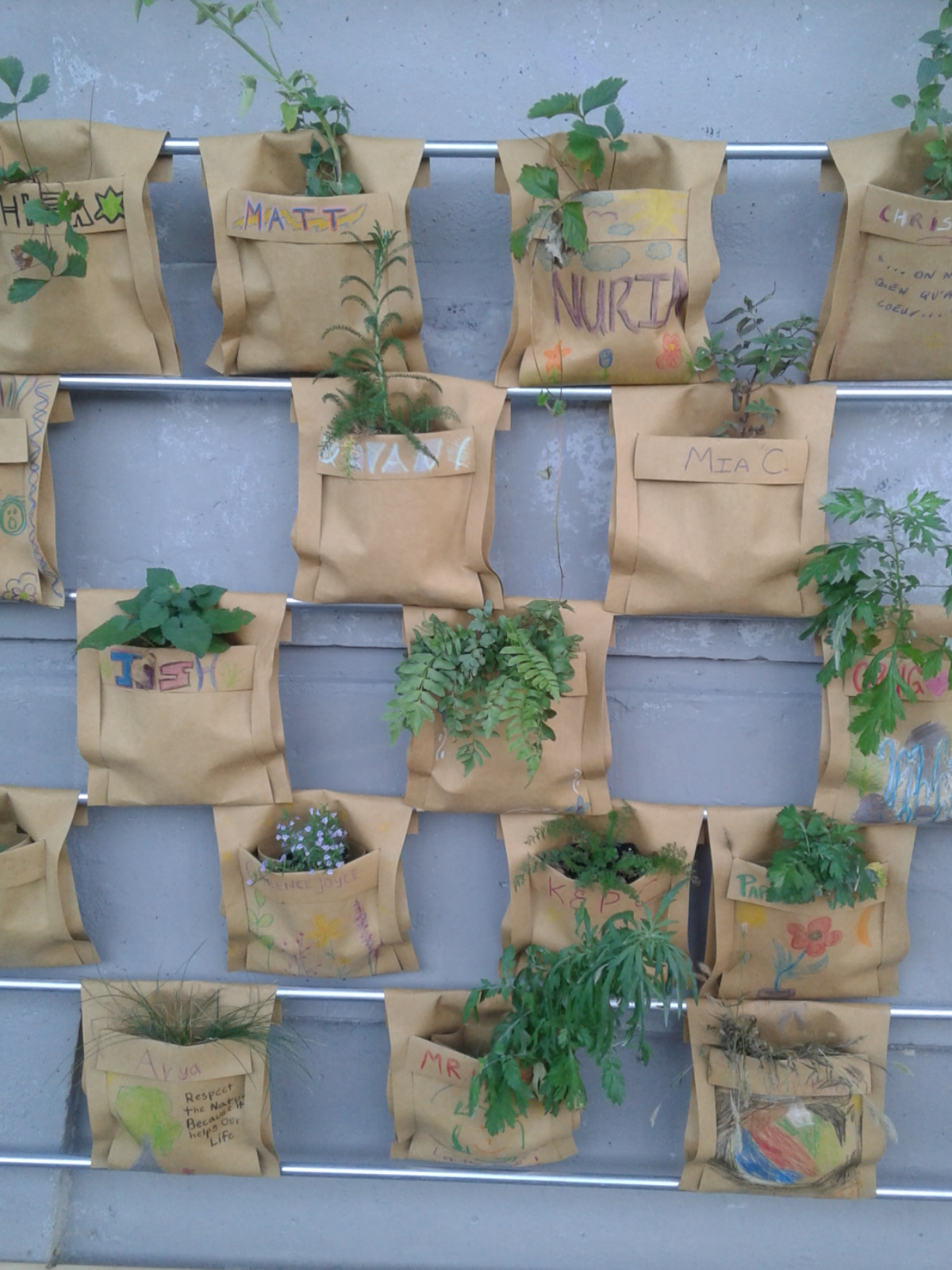 plants hanging in pockets on a wall